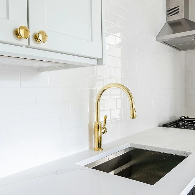 Choisir la plaque de cuisson professionnelle idéale pour votre cuisine