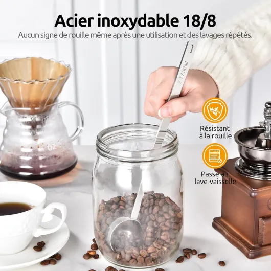 81faEkwspUL._AC_SL1500_