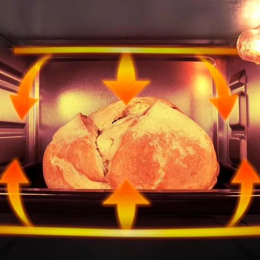 61O1mVgbW7L._AC_SL1000_