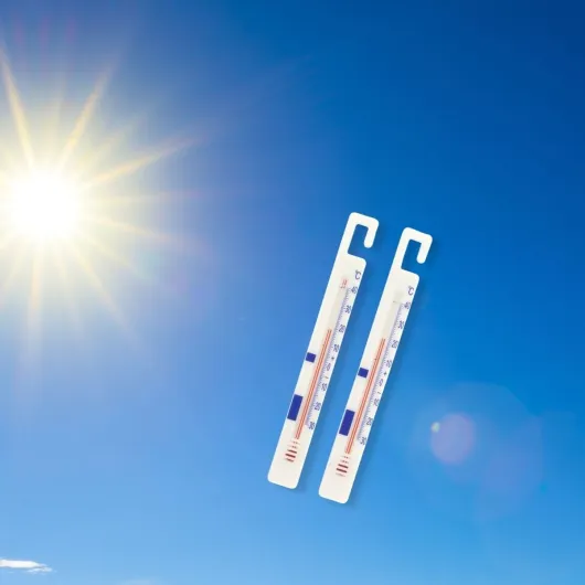 51-2KVbQqwL._AC_SL1200_