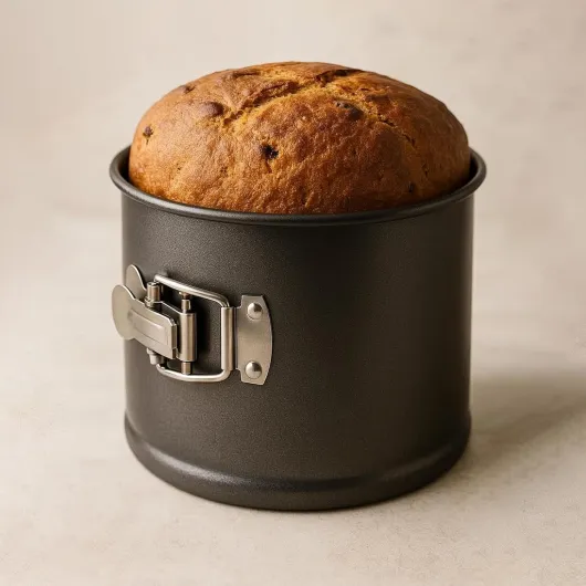 71llgHqD5jL._AC_SL1500_