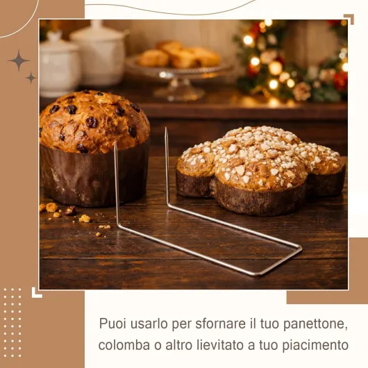 713QBn10o L._AC_SL1500_