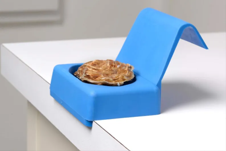 71X4zUa8S6L._AC_SL1500_