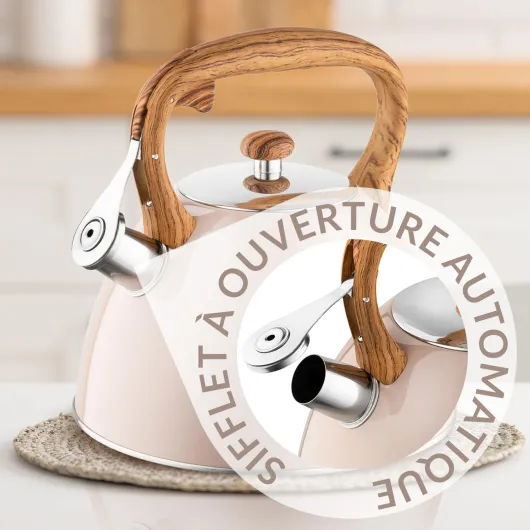 Bouilloire Inox (2,5 l) I Bouilloire Sifflante FRANK I Poignée Résistante à la Chaleur I Non Electrique I Induction, Gaz I Pour Thé et Café I Couleur: Brun Mat