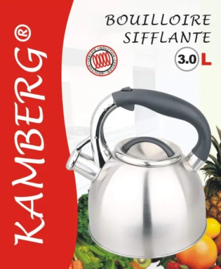 Théière Bouilloire sifflante 3 litres - Acier inoxydable - Poignée ergonomique - Tous Feux dont Induction - 0008113, Gris Design
