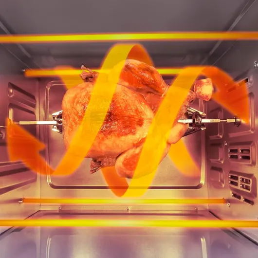 61DZUzb01vL._AC_SL1000_