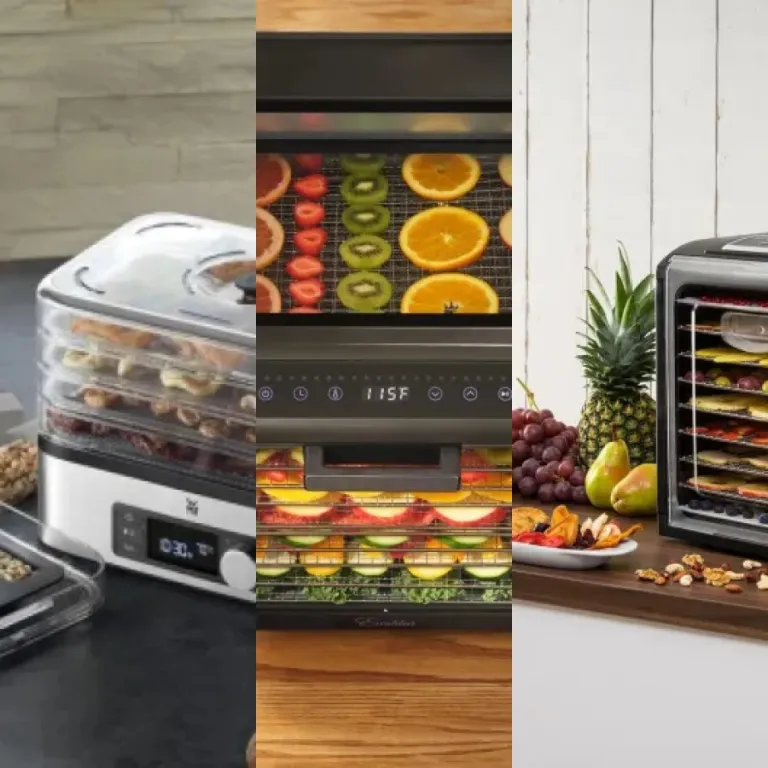 Les 5 meilleurs déshydrateur alimentaire (2026)