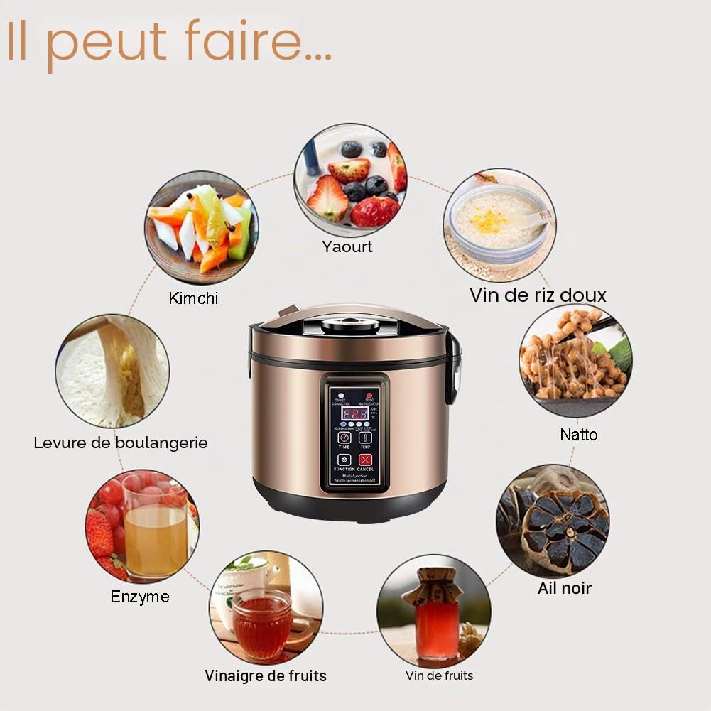 6L Yaourtière, Fermenteur Pour Ail Noir, Pour Kimchi, Pour Le Vin De Riz Doux Et Pour Le Natto - Appareil Entièrement Automatique Acier Inoxydable