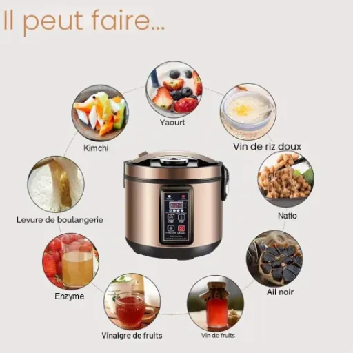 Test MLGB Fermenteur 6L : l’appareil à ail noir et yaourt qui fait le job sans chichi