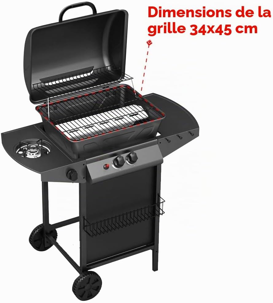 Barbecue à gaz avec pierre de lave barbecue à gaz 2 brûleurs + cuisinière latérale structure en acier avec plan latéral d'appui et 3 cintres Pratiko Life