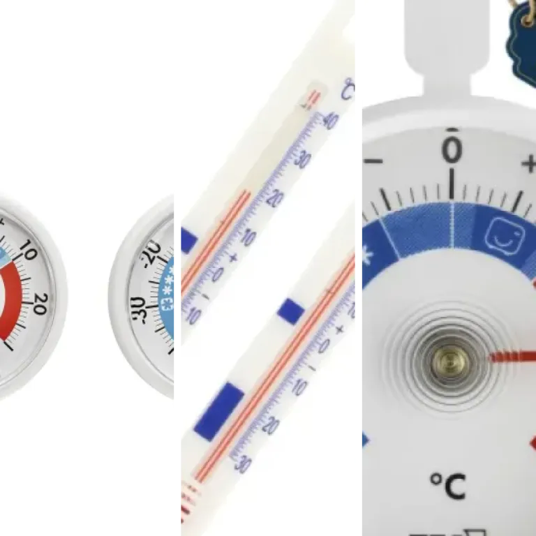 5 meilleurs thermomètre de cuisson : notre comparatif (2026)